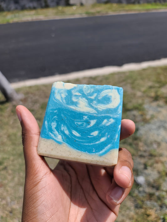 Beach Run Soap